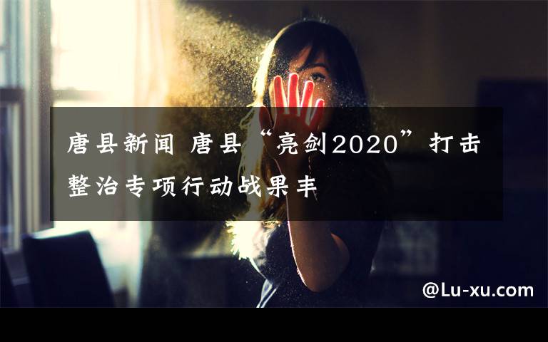 唐县新闻 唐县“亮剑2020”打击整治专项行动战果丰