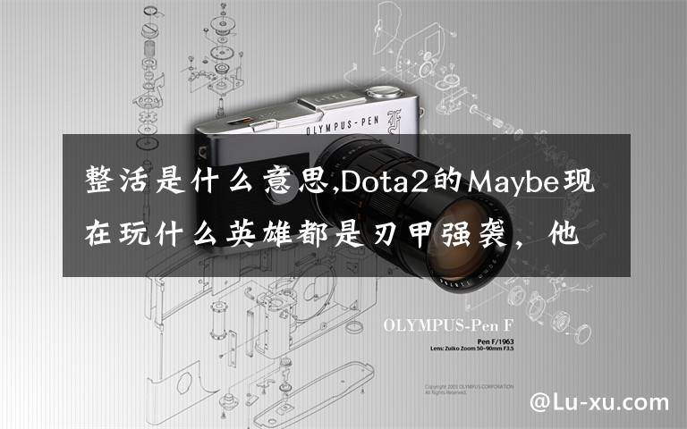 整活是什么意思,Dota2的Maybe现在玩什么英雄都是刃甲强袭，他这样是不是在