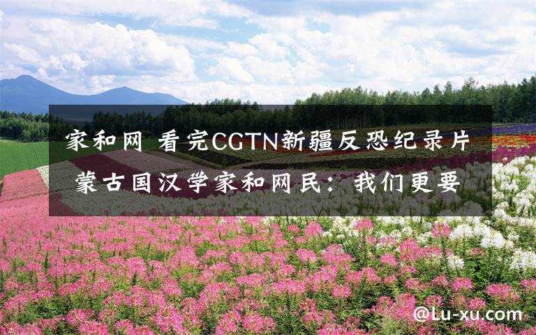 家和网 看完CGTN新疆反恐纪录片 蒙古国汉学家和网民：我们更要力挺中国