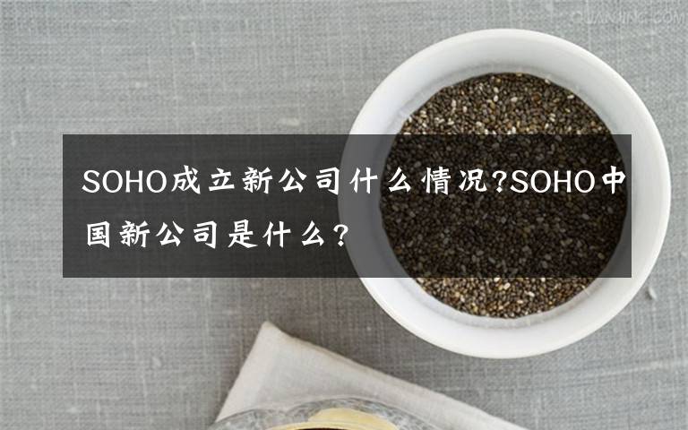 SOHO成立新公司什么情况?SOHO中国新公司是什么?
