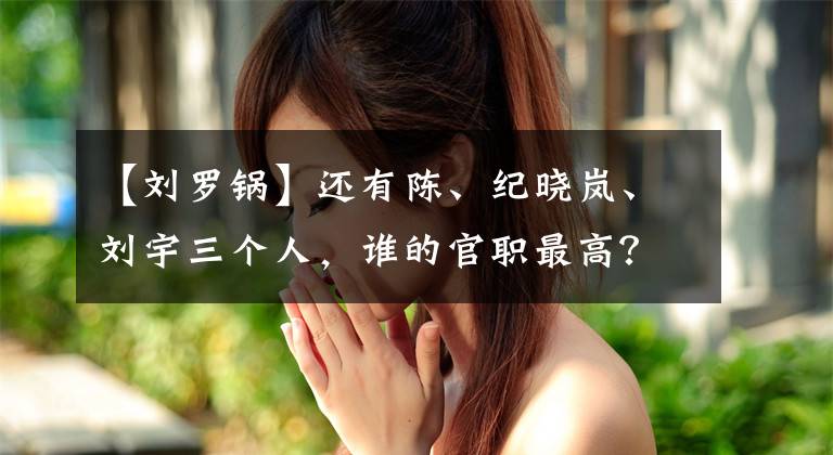 【刘罗锅】还有陈、纪晓岚、刘宇三个人，谁的官职最高？谁的权力最大？