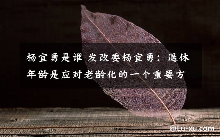 杨宜勇是谁 发改委杨宜勇：退休年龄是应对老龄化的一个重要方面
