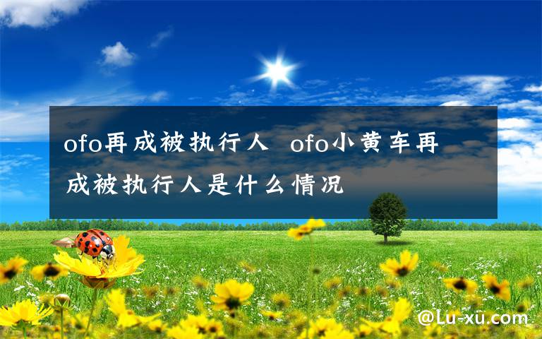 ofo再成被执行人  ofo小黄车再成被执行人是什么情况