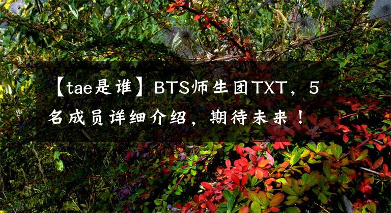 【tae是谁】BTS师生团TXT，5名成员详细介绍，期待未来！