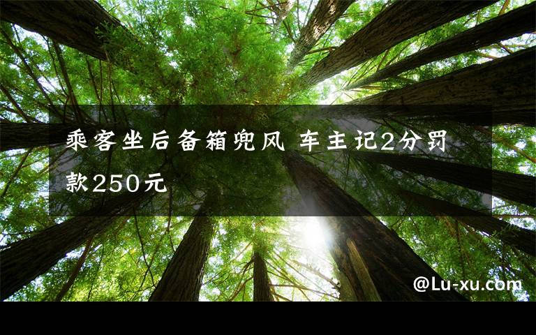 乘客坐后备箱兜风 车主记2分罚款250元