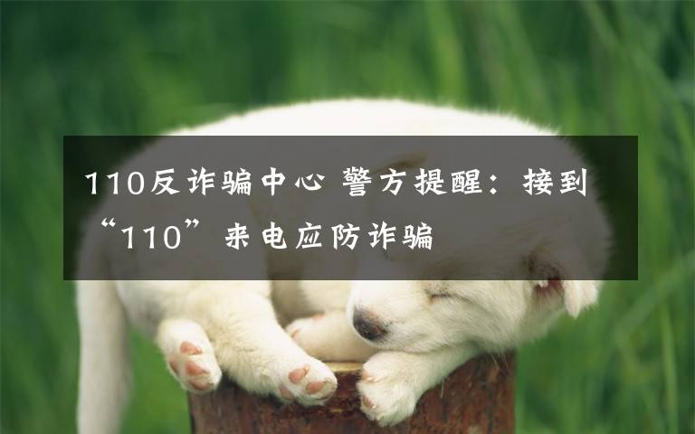 110反诈骗中心 警方提醒：接到“110”来电应防诈骗