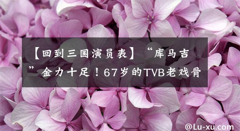 【回到三国演员表】“库马吉”金力十足！67岁的TVB老戏骨回到内地，登上舞台，人气大增。