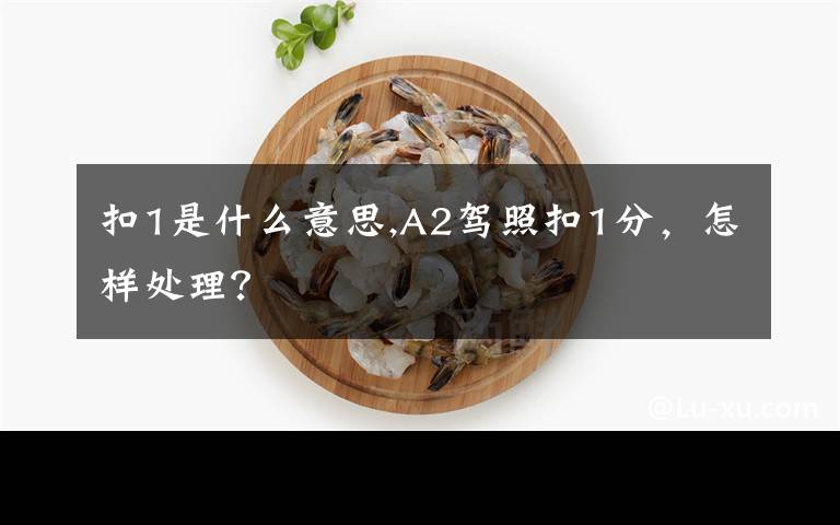 扣1是什么意思,A2驾照扣1分，怎样处理？