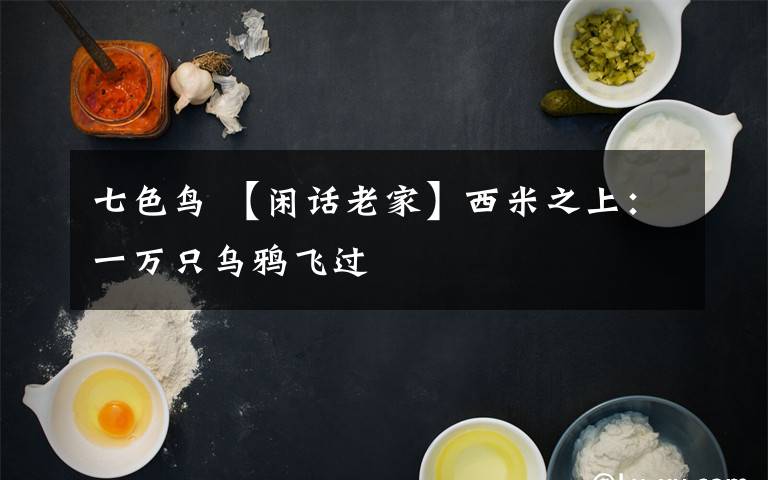 七色鸟 【闲话老家】西米之上：一万只乌鸦飞过