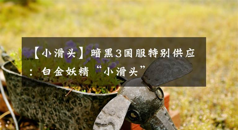 【小滑头】暗黑3国服特别供应：白金妖精“小滑头”