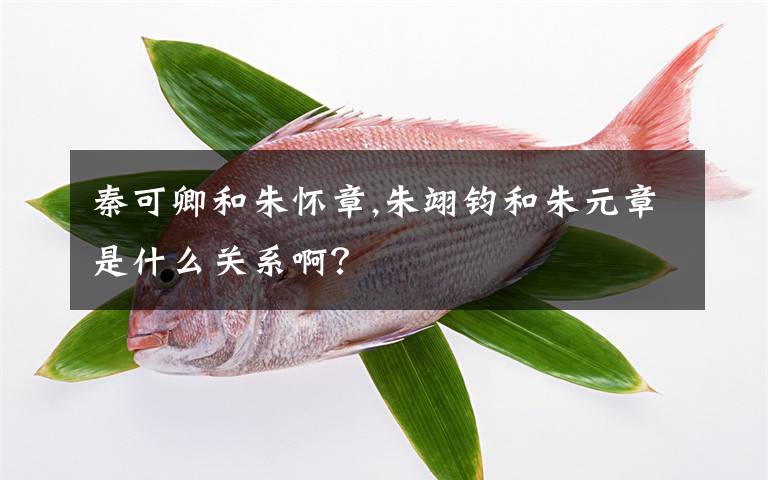 秦可卿和朱怀章,朱翊钧和朱元章是什么关系啊？