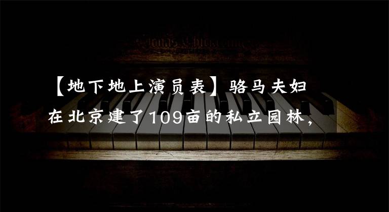 【地下地上演员表】骆马夫妇在北京建了109亩的私立园林，主动投案后发生了什么事？
