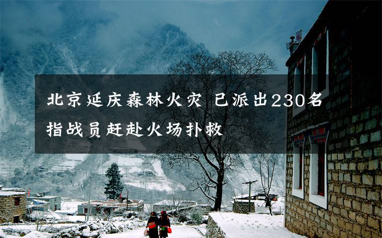 北京延庆森林火灾 已派出230名指战员赶赴火场扑救