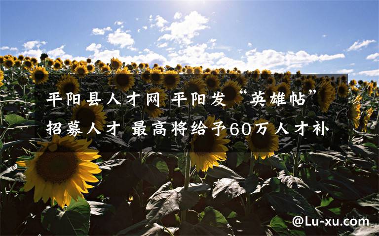 平阳县人才网 平阳发“英雄帖”招募人才 最高将给予60万人才补贴