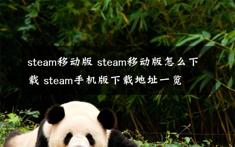 steam移动版 steam移动版怎么下载 steam手机版下载地址一览