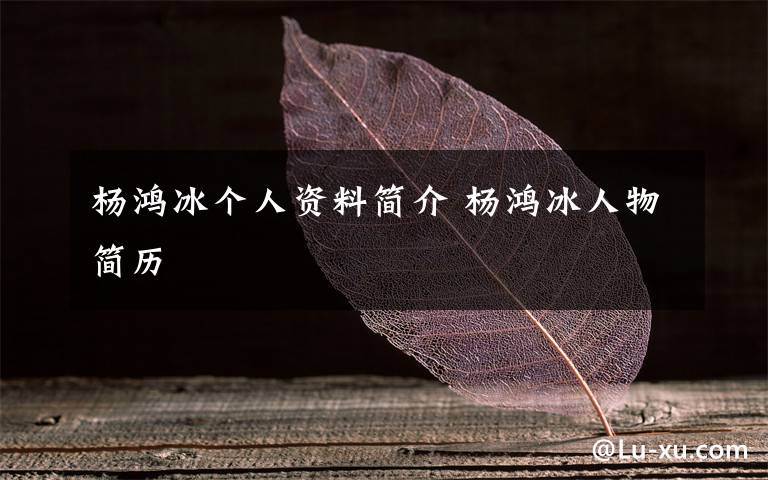 杨鸿冰个人资料简介 杨鸿冰人物简历文章配图