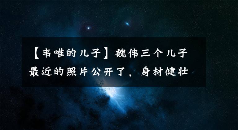 【韦唯的儿子】魏伟三个儿子最近的照片公开了，身材健壮，混血特征明显，大儿子最像爸爸