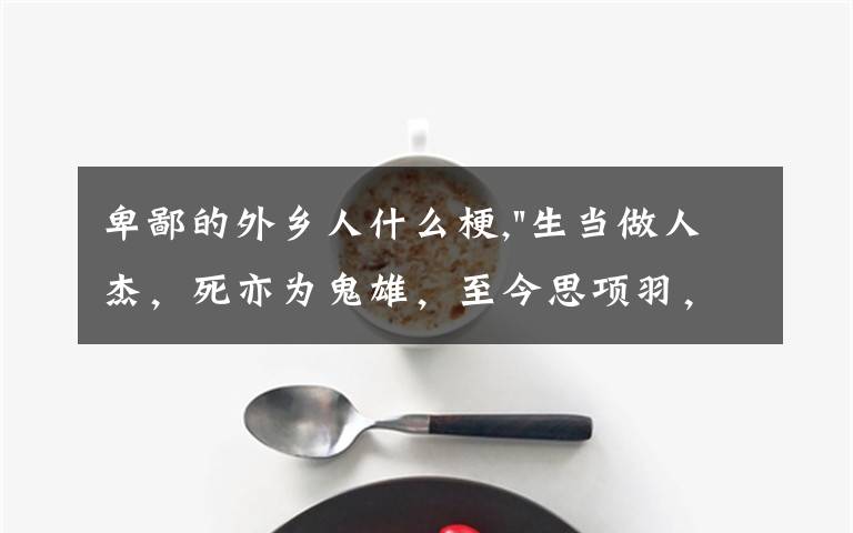 卑鄙的外乡人什么梗,