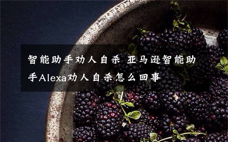 智能助手劝人自杀 亚马逊智能助手Alexa劝人自杀怎么回事