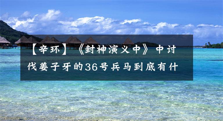 【辛环】《封神演义中》中讨伐姜子牙的36号兵马到底有什么？