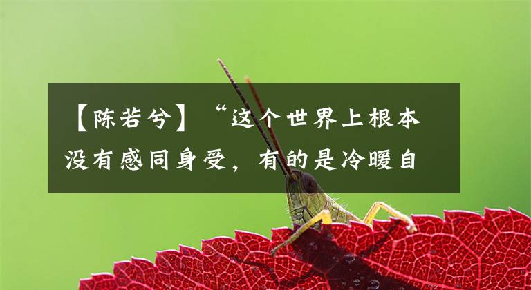 【陈若兮】“这个世界上根本没有感同身受，有的是冷暖自知罢了”