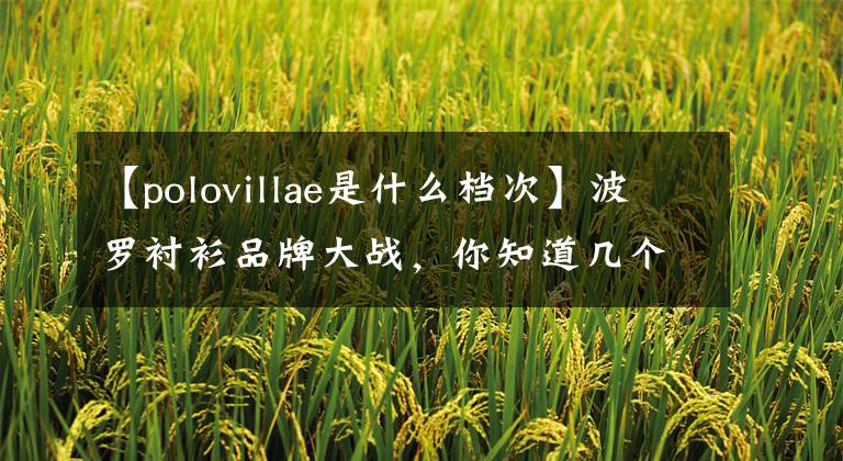 【polovillae是什么档次】波罗衬衫品牌大战，你知道几个？