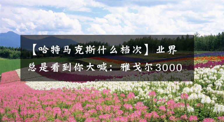 【哈特马克斯什么档次】业界总是看到你大喊：雅戈尔3000万装饰无锡大卖场开业。