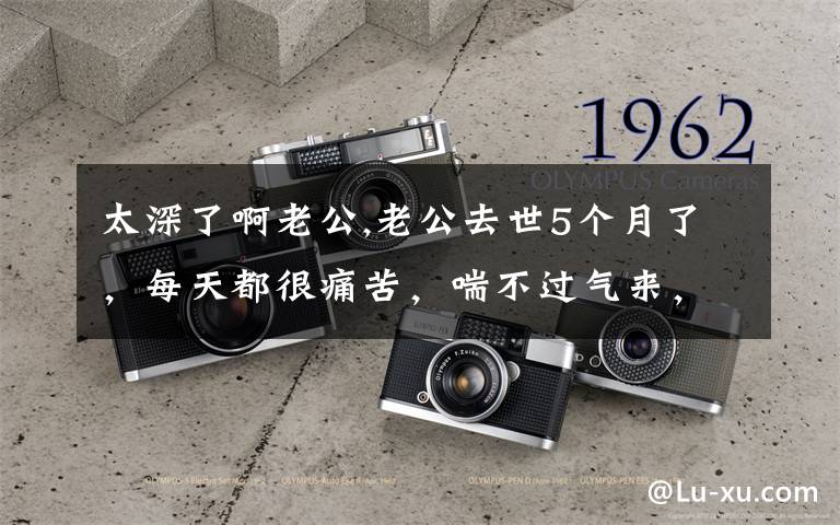 太深了啊老公,老公去世5个月了，每天都很痛苦，喘不过气来，该怎么办呢？