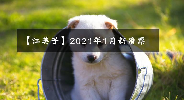 【江美子】2021年1月新番票
