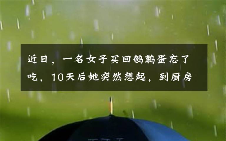 近日，一名女子买回鹌鹑蛋忘了吃，10天后她突然想起，到厨房一看发现意外惊喜，只见鹌鹑蛋竟孵出