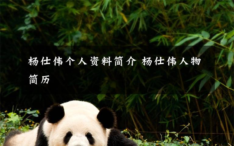 杨仕伟个人资料简介 杨仕伟人物简历文章配图