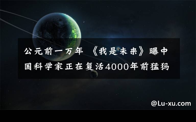 公元前一万年 《我是未来》曝中国科学家正在复活4000年前猛犸象