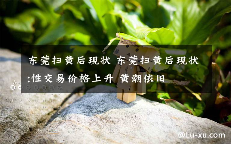 东莞扫黄后现状 东莞扫黄后现状:性交易价格上升 黄潮依旧