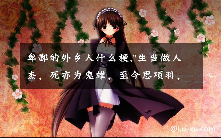 卑鄙的外乡人什么梗,