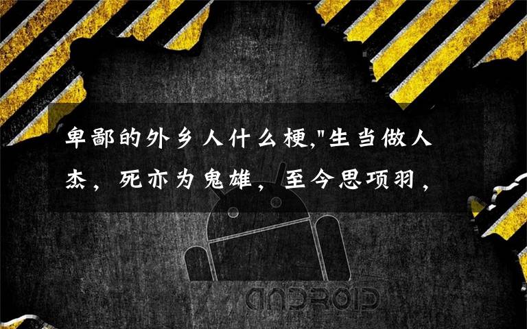 卑鄙的外乡人什么梗,