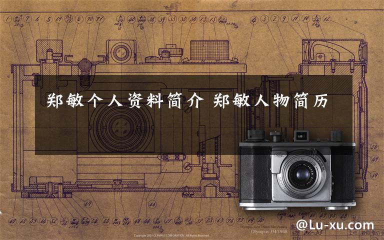 郑敏个人资料简介 郑敏人物简历文章配图