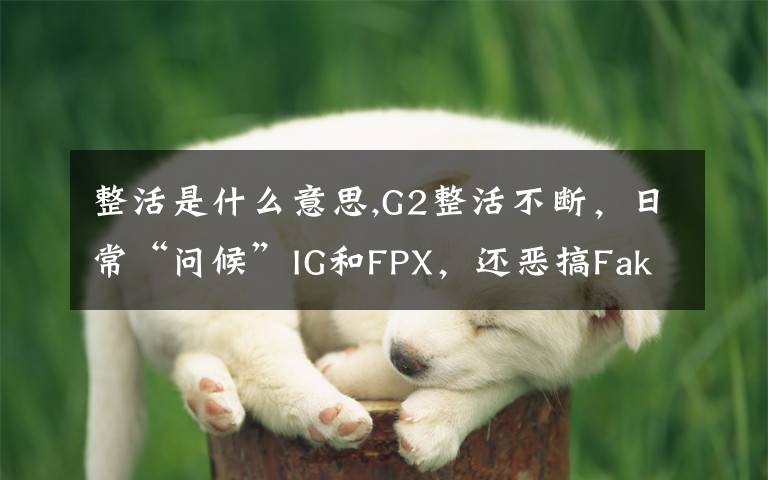 整活是什么意思,G2整活不断，日常“问候”IG和FPX，还恶搞Faker，却惨遭SKT暴击，怎么评价？