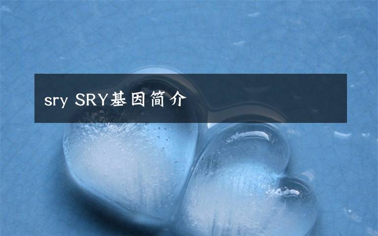 sry SRY基因简介