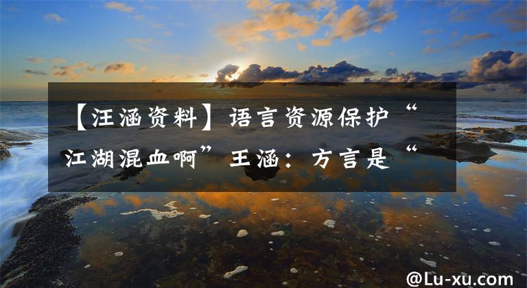 【汪涵资料】语言资源保护“江湖混血啊”王涵：方言是“你说，我知道，他不懂”的浪漫话。