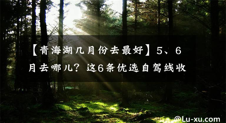 【青海湖几月份去最好】5、6月去哪儿？这6条优选自驾线收藏起来，随时说走就走