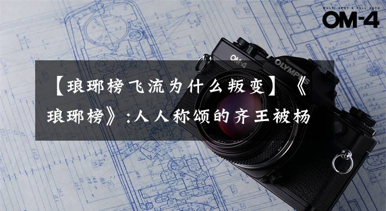 【琅琊榜飞流为什么叛变】《琅琊榜》:人人称颂的齐王被杨帝杀死，其实并不冤枉。