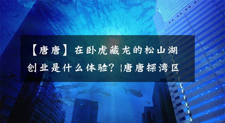 【唐唐】在卧虎藏龙的松山湖创业是什么体验？|唐唐探湾区