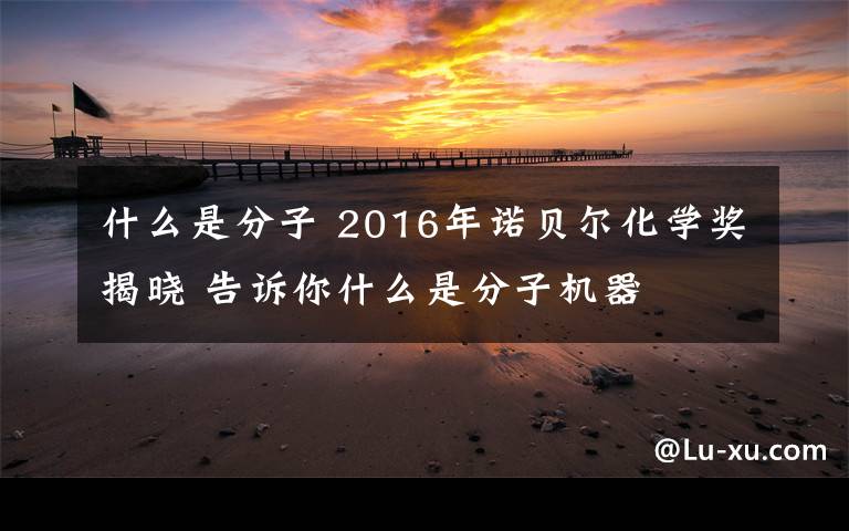 什么是分子 2016年诺贝尔化学奖揭晓 告诉你什么是分子机器