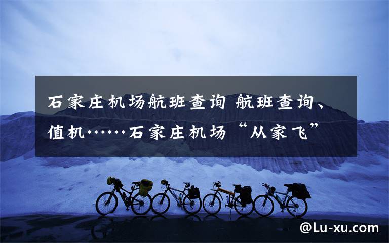 石家庄机场航班查询 航班查询、值机……石家庄机场“从家飞”旅客服务平台上线