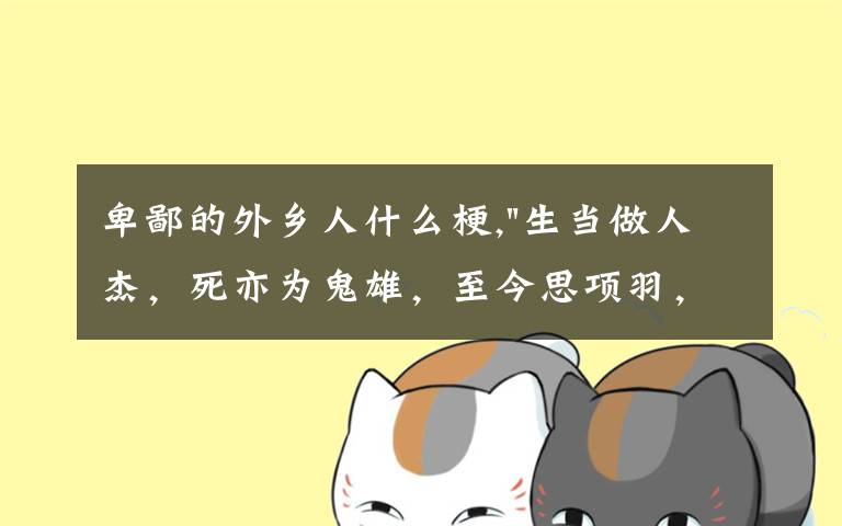 卑鄙的外乡人什么梗,