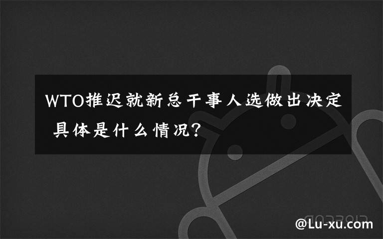 WTO推迟就新总干事人选做出决定 具体是什么情况？