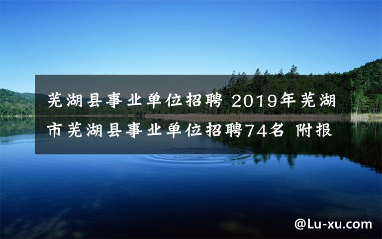 芜湖县事业单位招聘 2019年芜湖市芜湖县事业单位招聘74名 附报名入口和考试时间