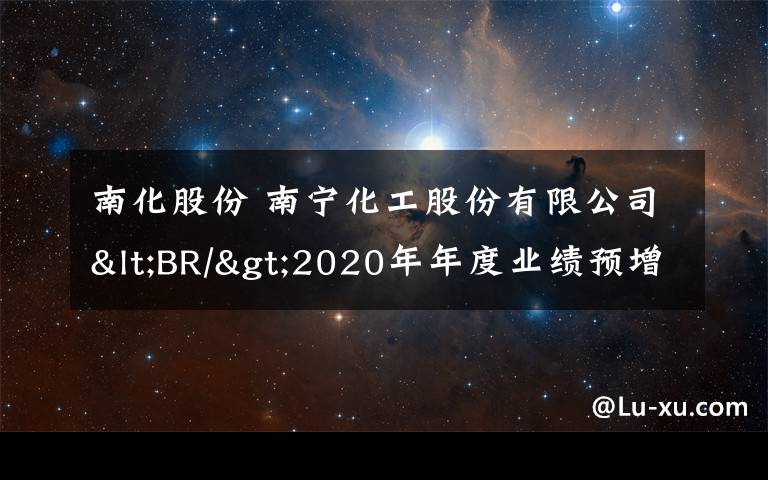 南化股份 南宁化工股份有限公司<BR/>2020年年度业绩预增公告
