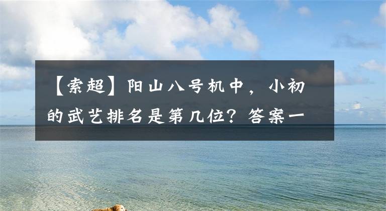 【索超】阳山八号机中，小初的武艺排名是第几位？答案一目了然