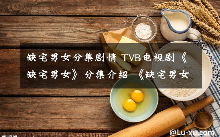 缺宅男女分集剧情 TVB电视剧《缺宅男女》分集介绍 《缺宅男女》分集剧情